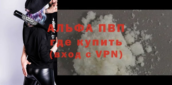 шишки Надым