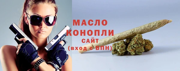 шишки Надым