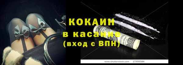 крисы Нея