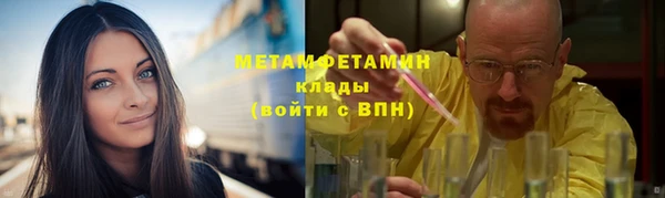 шишки Надым