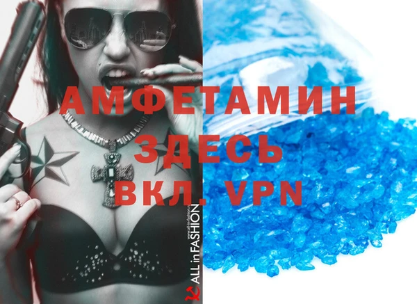 шишки Надым