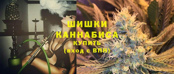 крисы Нея