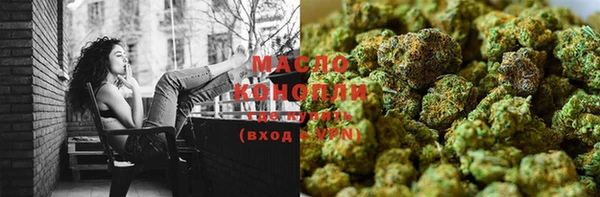шишки Надым