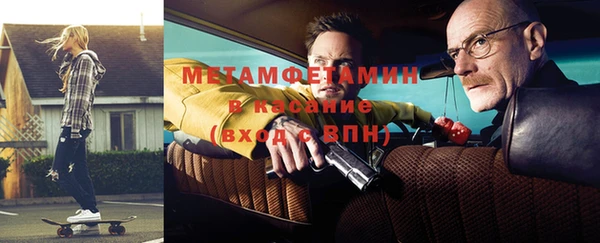 шишки Надым