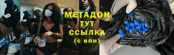шишки Надым