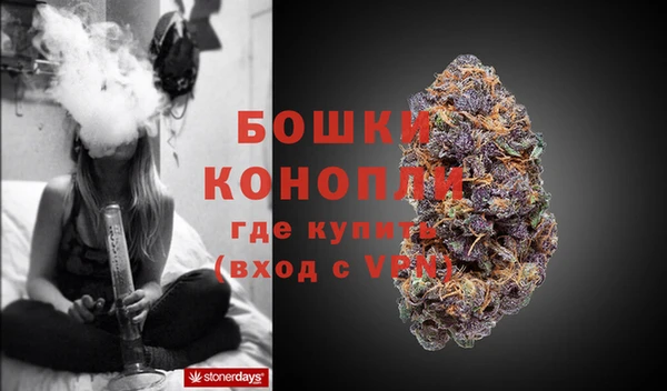 крисы Нея