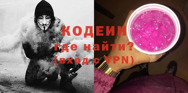 шишки Надым