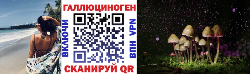 купить закладку  Шелехов  Галлюциногенные грибы мицелий 